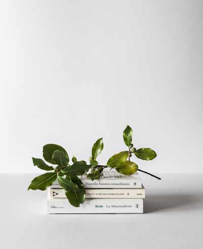 Divi Image Hover 15 Divi Image Hover 15